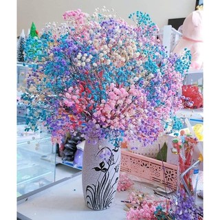 [FREESHIP] 🍁 Bó hoa Baby khô ướp màu 🍁 Hoa Khô Baby Gysophila trang trí decor