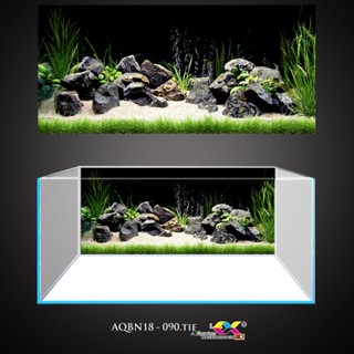 Tranh 3D dán hồ cá - bể cá siêu đẹp và nét, có keo sẵn trên bề mặt, đa dạng kích thước (AQBN18-090)