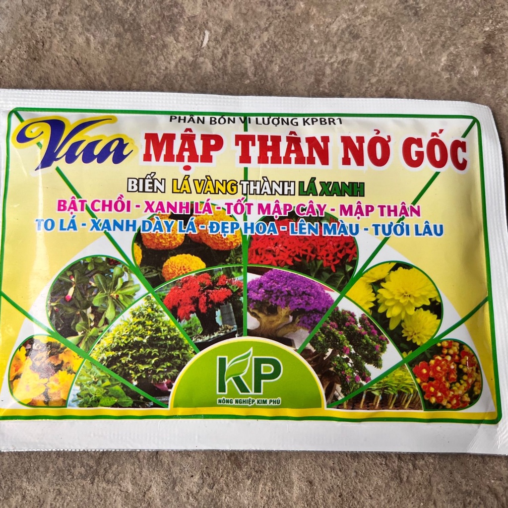 phì gốc nở ngọn xanh cây
