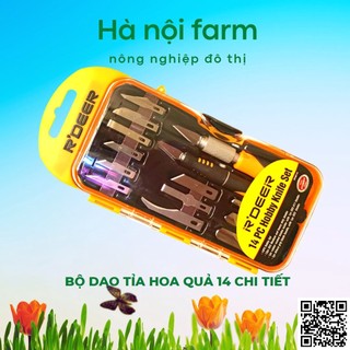 Bộ dao tỉa củ quả,điêu khắc, chạm, trổ, tách, ghép cao cấp R-DEER 14 chi tiết
