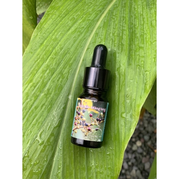 Tinh dầu màng tang nguyên chất ( lọ 10ml)