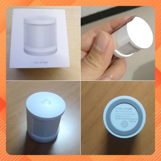 Cảm biến chuyển động xiaomi