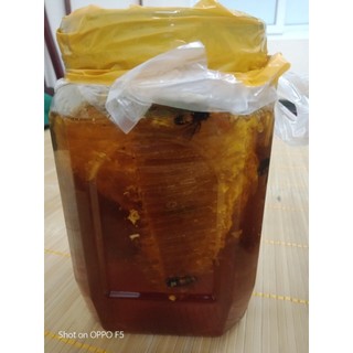 Mật ong hoa nhãn (Quà tặng thiên nhiên) - 500ml