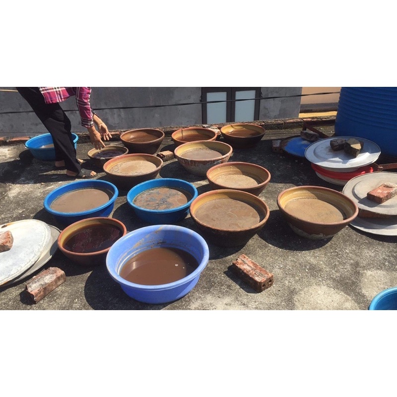 Mắm ngon nguyên chất 100% không pha Tiền Hải Thái Bình