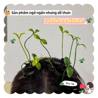 Kẹp Tóc Mầm Cây Cute to1658 everyphuyen