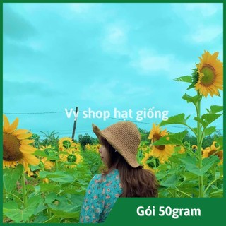 Gói 100gram hạt giống hoa hướng dương AGUARA Thái Lan cây cao bông to - khoảng 600 hạt