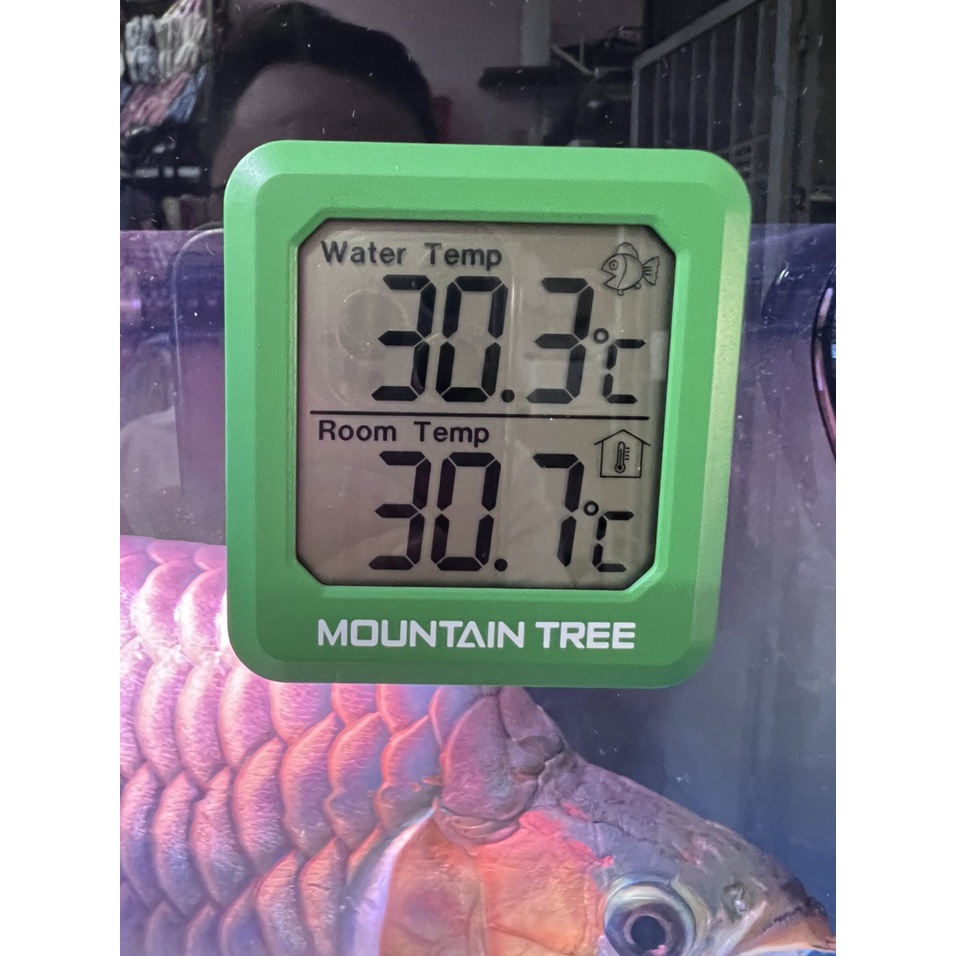 Nhiệt Kế LCD AQUABLUE Và MOUNTAIN TREE Dán Ngoài Thành Hồ, Nhỏ Gọn Độ Chính Xác Cao Sau 10 Phút