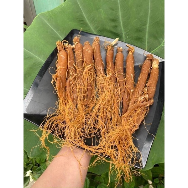 100gr Nhân sâm khô nguyên chất 100% hàng sấy dẻo