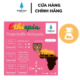 Cà phê hạt rang Ethiopia Yirgacheffe Mulugeta nhập khẩu