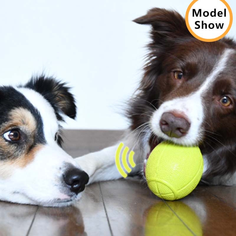 HamshMoc Đồ Chơi Bóng Cao Su Có Âm Thanh Huấn Luyện Thú Cưng