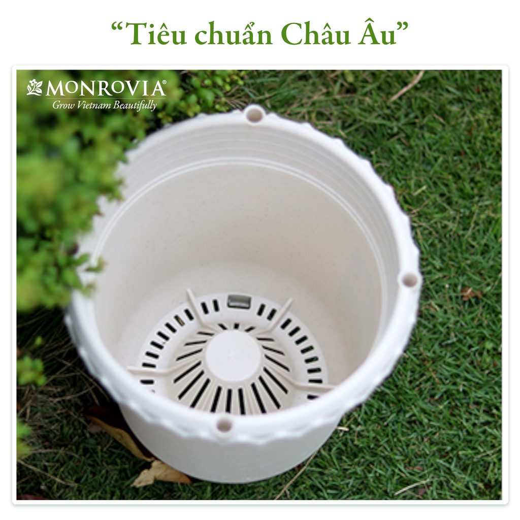 Chậu trồng cây Monrovia chuyên cho hoa hồng, cây cảnh, thiết kế tinh tế, tiêu chuẩn Châu Âu