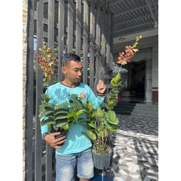 GE Nha Đam - Phân Bón Hữu Cơ - Chai 500ml