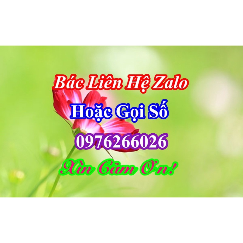 Chai 1 lit nấm uống nazol