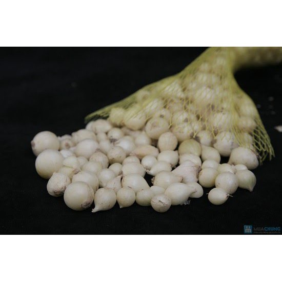 100g Củ nén hành tăm miền trung dùng thử