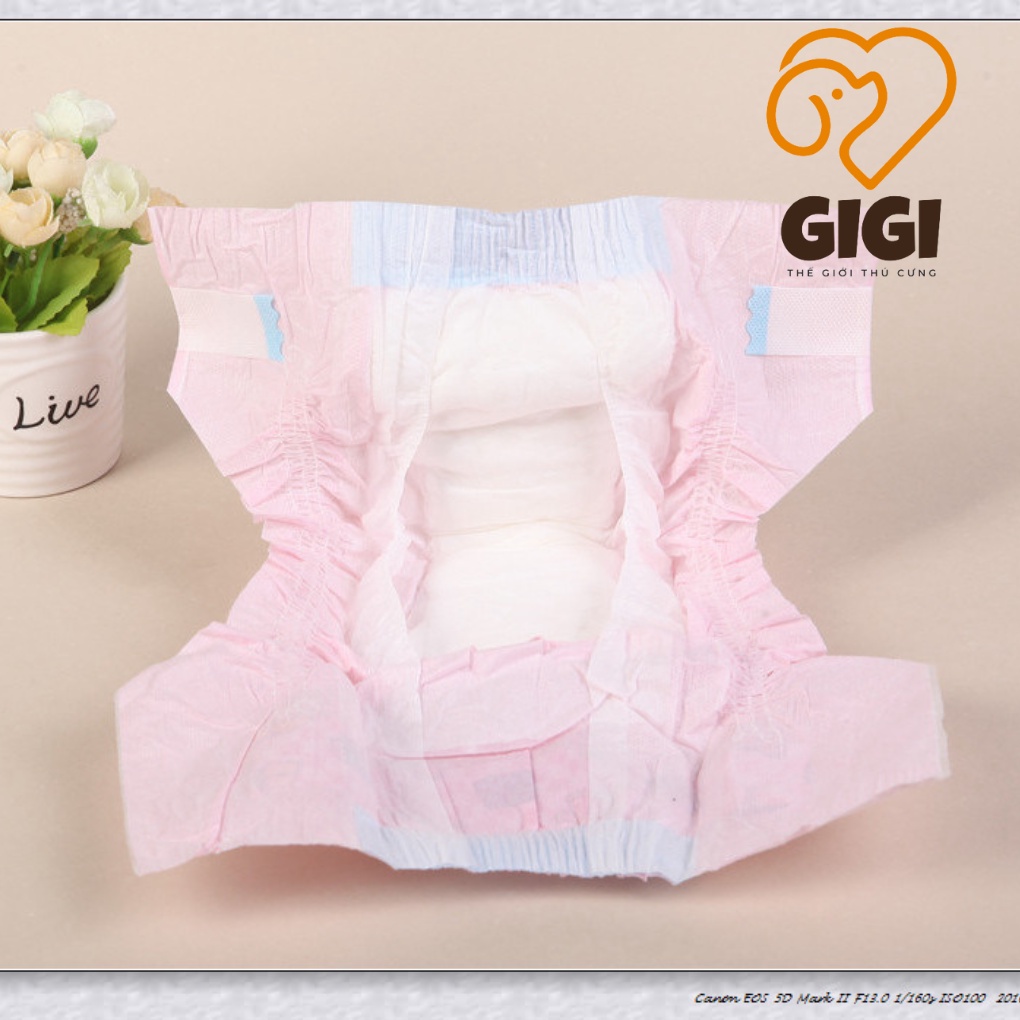 Bỉm Dono cho chó mèo đực và cái nhiều size co giãn mềm mại siêu nhẹ thấm hút cao phụ kiện thú cưng - GiGi Pet Shop