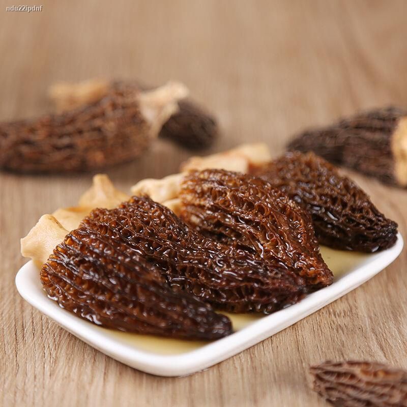 Nấm bụng dê 💎Nấm quý hiếm💎