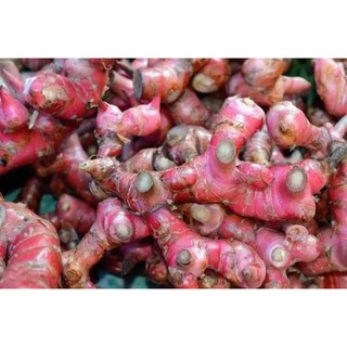 [ Giá Sốc ]  Tinh Bột Củ Dong Riềng ( Làm bánh đúc , chế biến các món ăn )