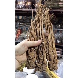 100Gr Sâm đương quy khô
