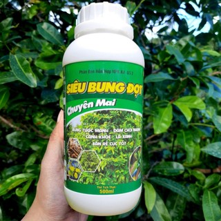 Phân bón siêu bung đọt chuyên mai vàng thế hệ mới đậm đặc chai 500ml