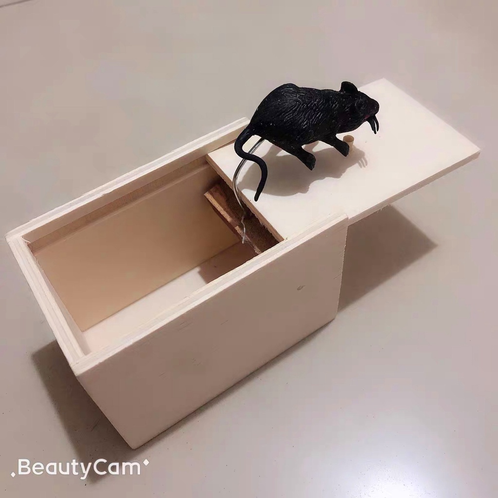 Hộp Gỗ Biến Ra Con Vật ngẫu nhiên, Đồ Chơi Troll Vui Nhộn, Hù Dọa Ngày Halloween, Sáng Tạo, Thông Minh Cho Bé