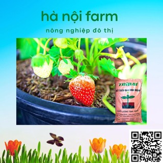 1kg đất tribat trồng rau