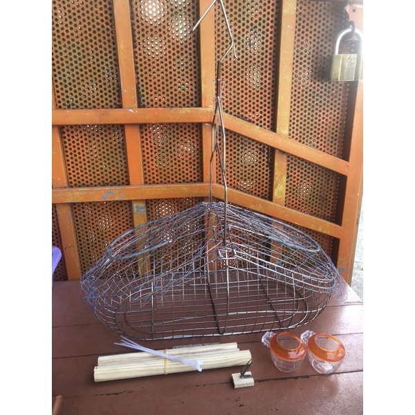 Lụp inox bẫy Choè than, Chào mào,…
