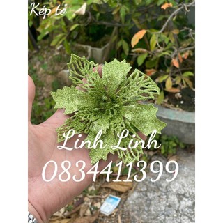 HOA KÉP TO 16cm