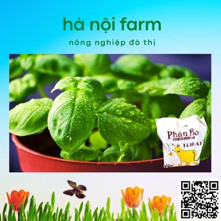 700gr phân bò xử lý hữu cơ
