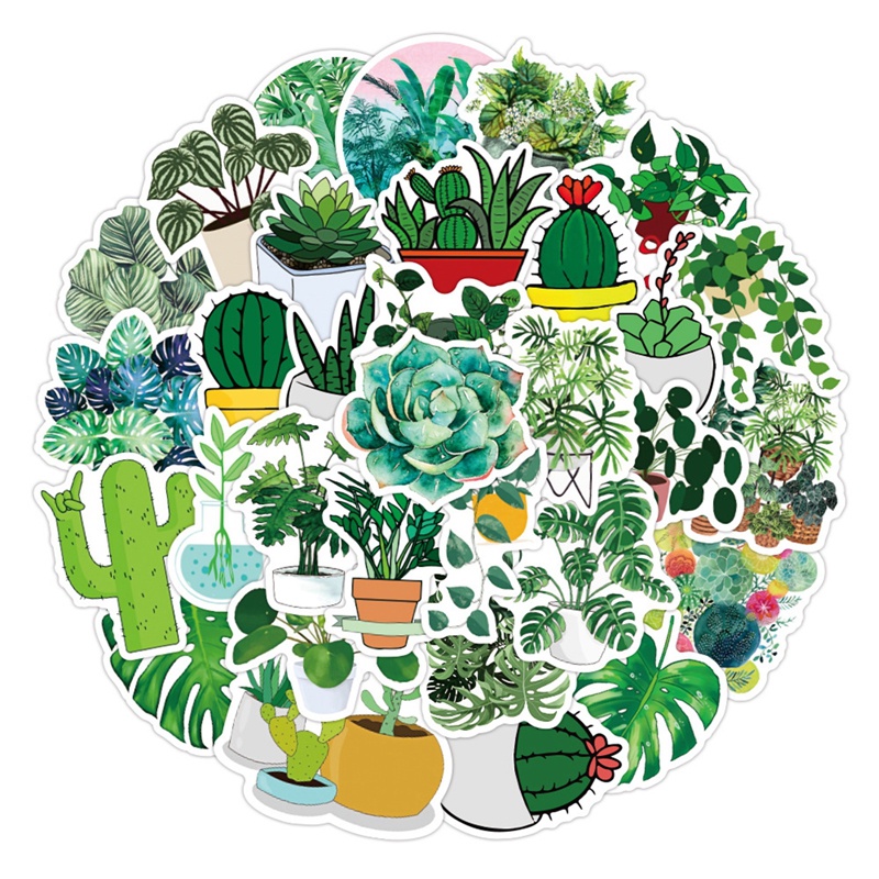 Bộ 50 Miếng Dán Họa Tiết Chậu Cây Xanh Dễ Thương Dùng Trang Trí Laptop / Xe Hơi / Ván Trượt DIY