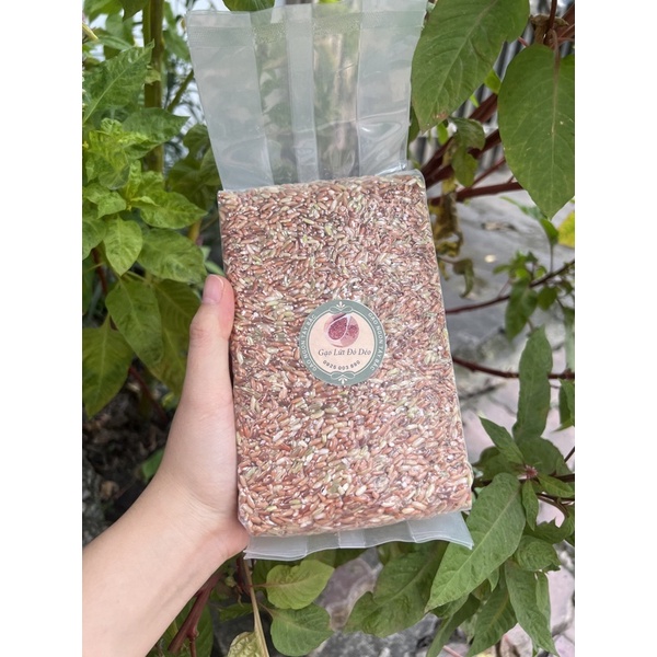 LOại 1