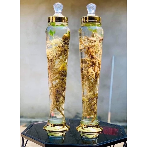 1kg Tam thất bắc tươi - HÀNG ĐẢM BẢO CHẤT LƯỢNG - DƯỢC LIỆU HÀ HOÀNG