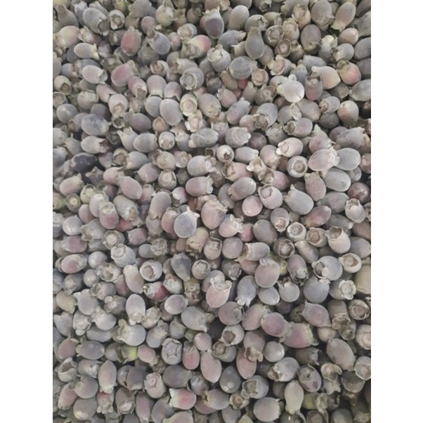 1Kg Quả sim khô loại 1