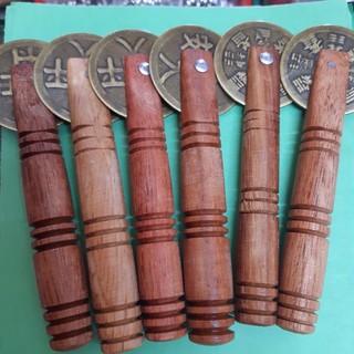 CÂY CẠO GIÓ (ĐỒNG XU)