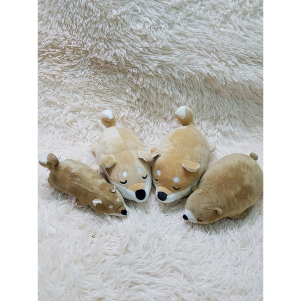 Gấu bông chó Shiba mềm mịn như miniso