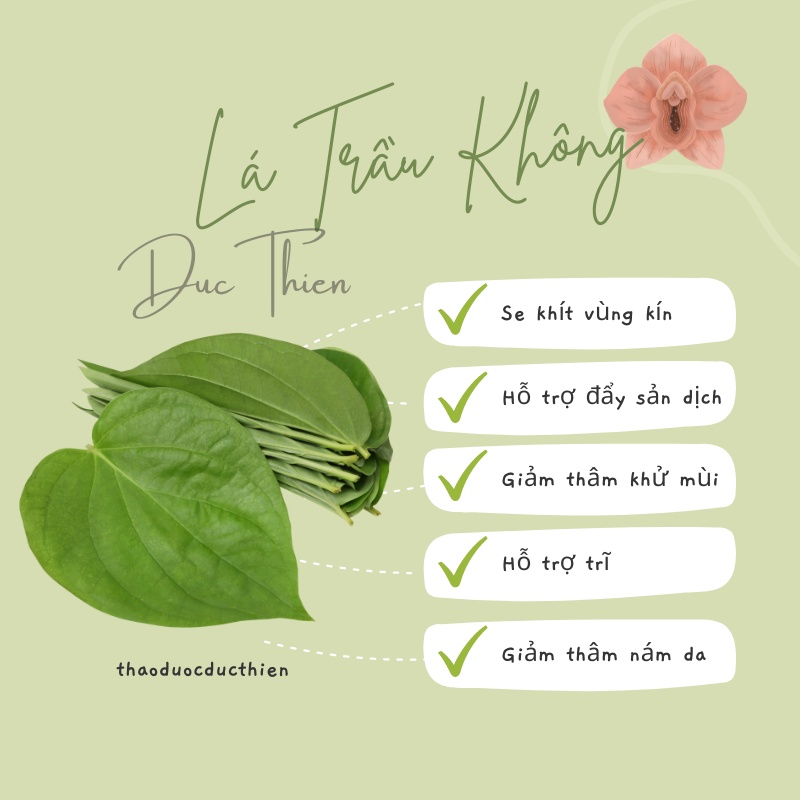 Bột Lá Trầu Không Nguyên Chất Xông Hơ Vùng Kín - Se Khít Âm Đạo, Làm Hồng Khử Mùi Hôi, Giảm Thâm Nám Da