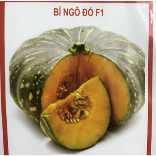 Hạt giống bí ngô 🎃