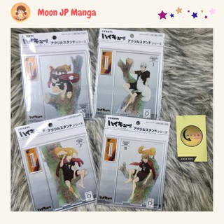 [CÓ SẴN] Mô hình standee Haikyuu ver Cospa