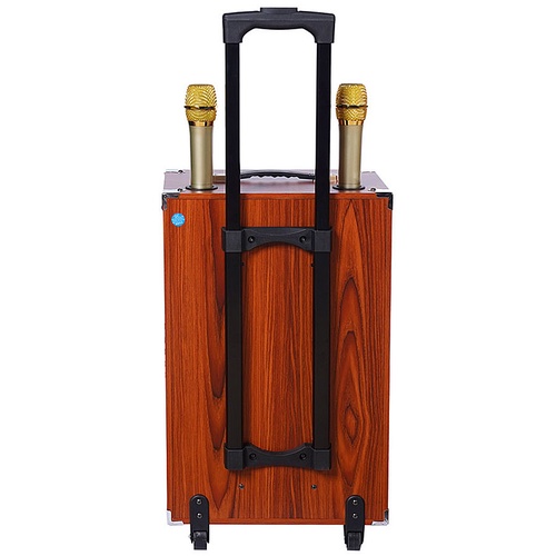 Loa kéo hát karaoke AZ12A PRO