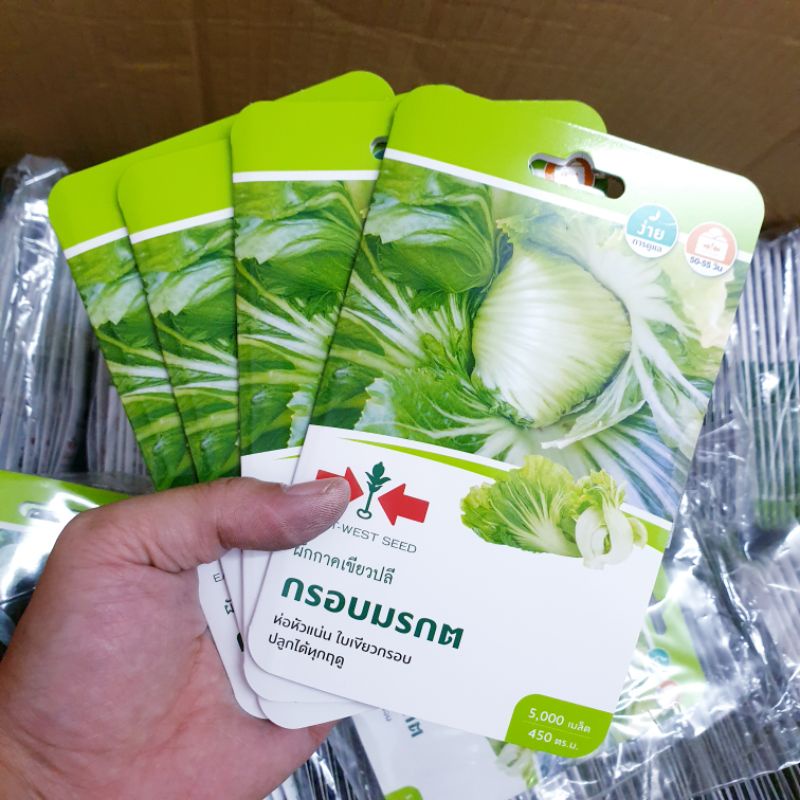 Hạt giống cải muối dưa cuộn tròn. 5000 hạt/gói. Xuất xứ Thái Lan. Tỉ lệ nẩy mầm cao