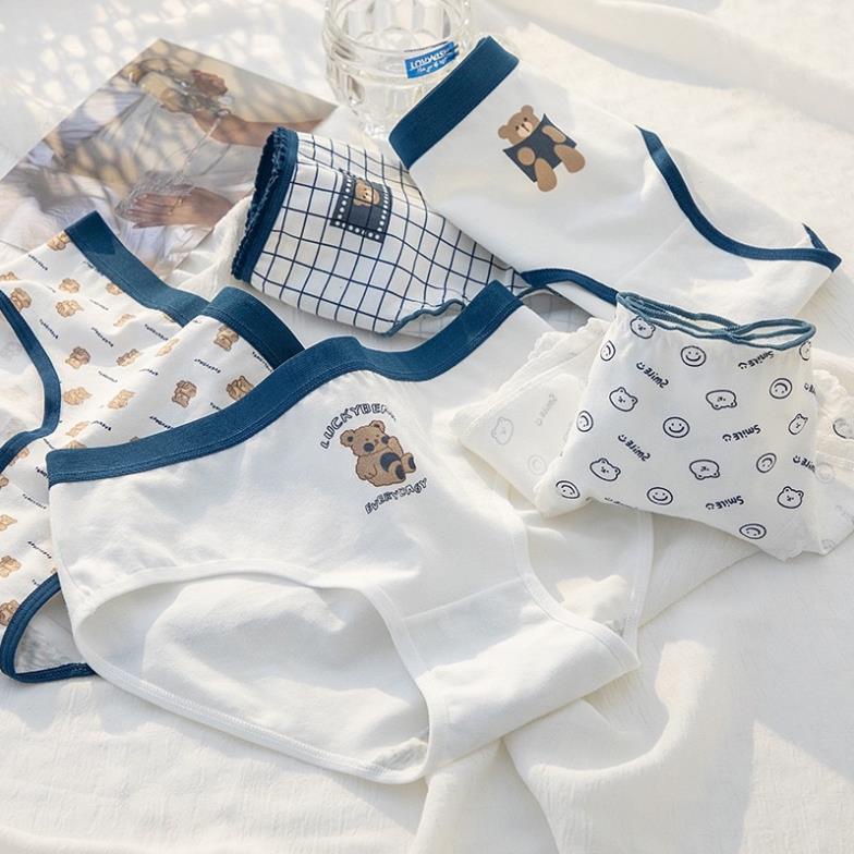 Quần Lót Nữ Cotton Gấu Nâu Softie -  Ngang Eo Thời Trang Dễ Thương 125