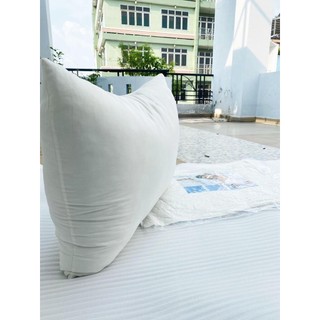 Ruột gối Nhật 50X70CMX15CM