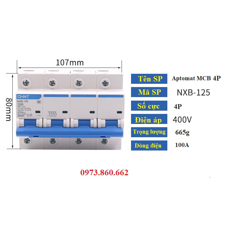 Aptomat tép gài thanh ray MCB CHINT 2P 3P 4P 100A - NXB-125 10KA