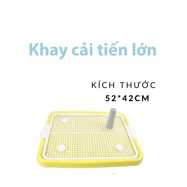 Khay vệ sinh cho chó khay cải tiến lớn