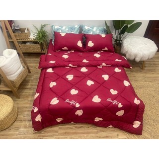 Bộ chăn phao 5 món chăn phao trần bông dày dặn.