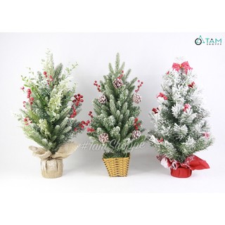 Cây thông Noel nhỏ để bàn phủ tuyết cao 45-60cm X-TREE-03_TAN