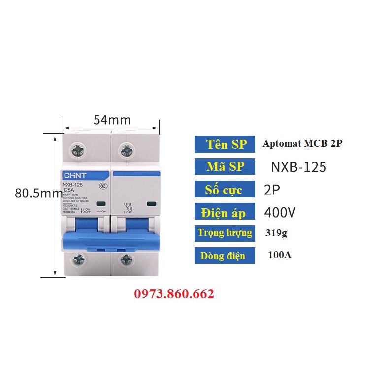 Aptomat tép gài thanh ray MCB CHINT 2P 3P 4P 100A - NXB-125 10KA