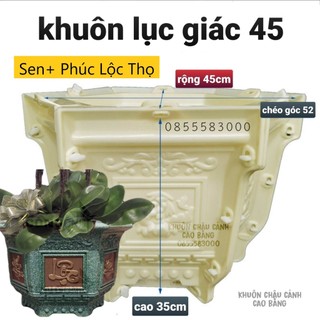 Khuôn đúc chậu cảnh lục giác 45 (khuôn chậu ABS có lòng trong)