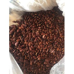 1kg Hạt dưa Tứ Hưng loại 1 (túi zip)