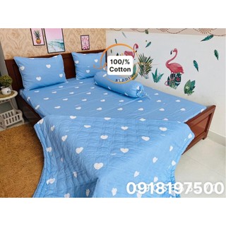 Bộ Drap Cotton mền 100% Cotton cao cấp Kèm Mền Chần Gòn