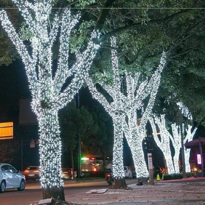 Đèn led đúc F5 12V quấn cây, làm biển quảng cáo, đèn trang trí ngoài trời